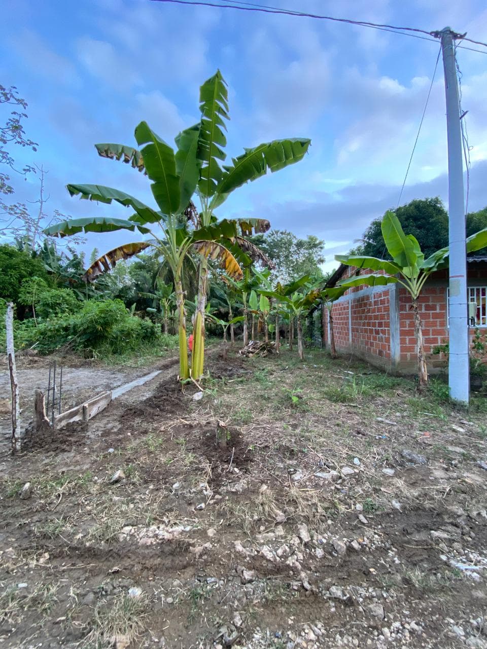Foto 4 de Lote 6 x 28 en Barrio San Sebastian  en Necoclí